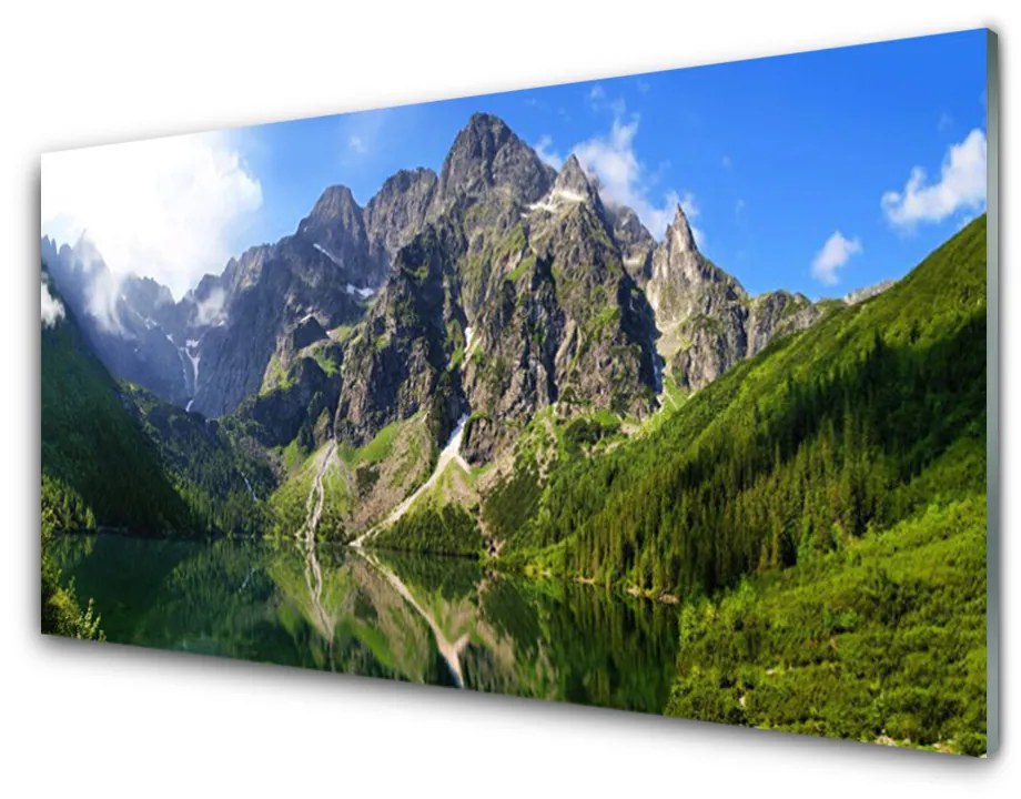 Sklenený obklad Do kuchyne Tatry hory morské oko les 120x60 cm