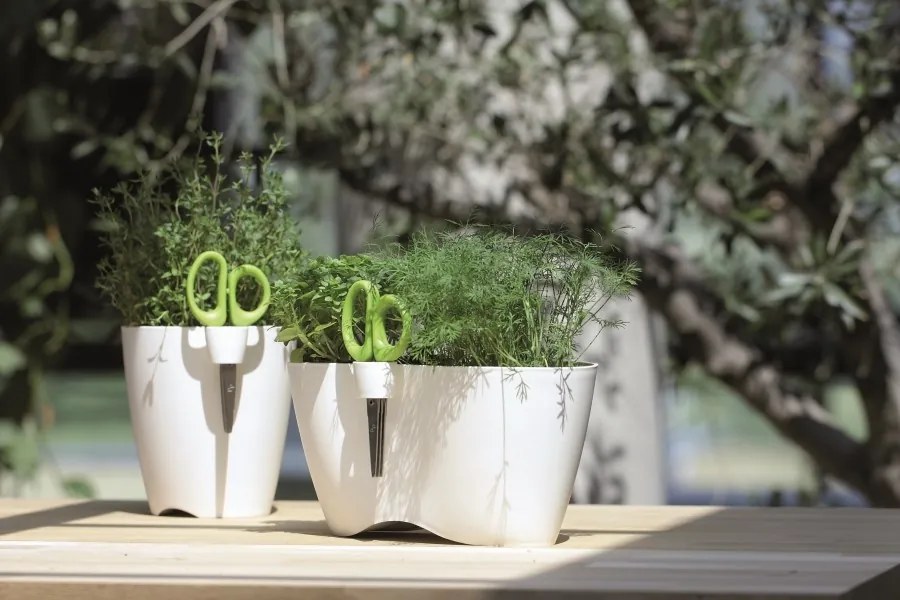 Kvetináč Dublo Herbs biely