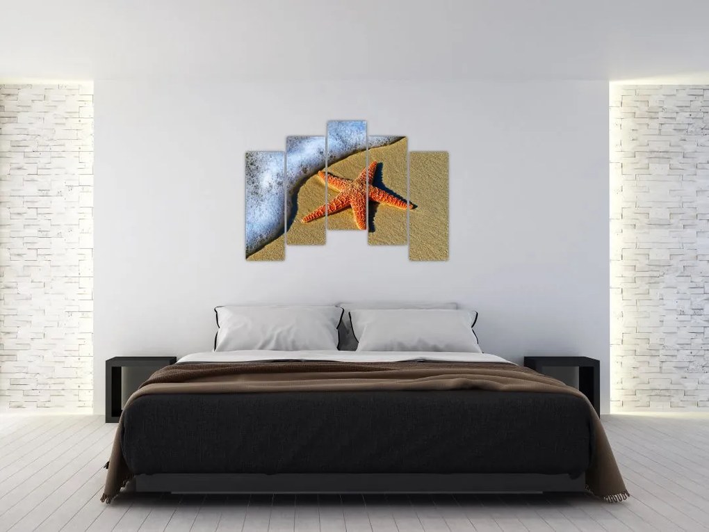 Obraz s morskou hviezdou