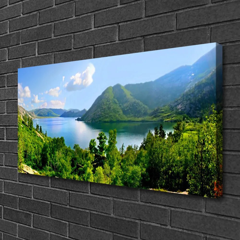 Obraz na plátne Les jazero hory príroda 120x60 cm