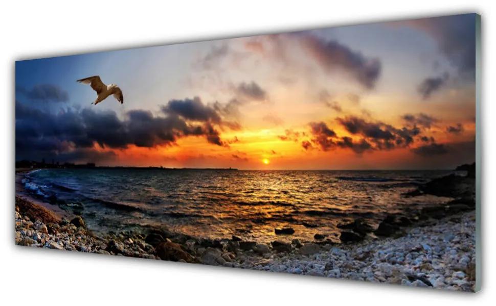 Obraz na akrylátovom skle Čajka more pláž krajina 125x50 cm