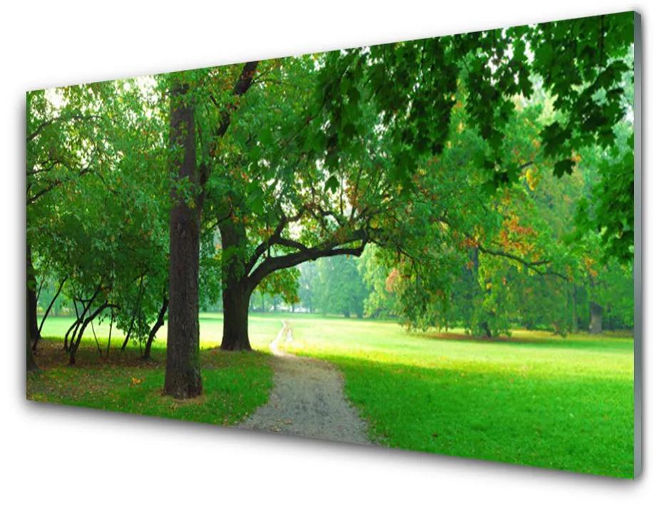 Obraz plexi Chodník stromy príroda 140x70 cm