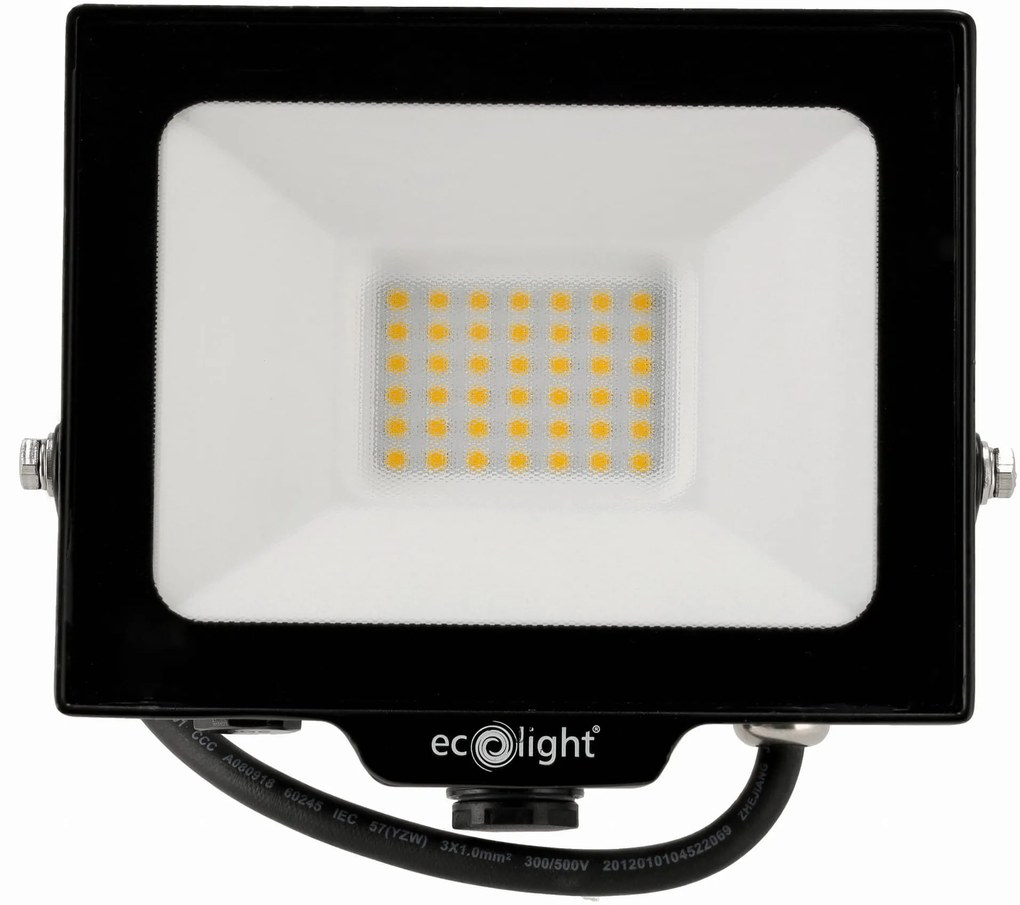 ECOLIGHT LED reflektor 30W 2v1 - studená biela + čidlo pohybu