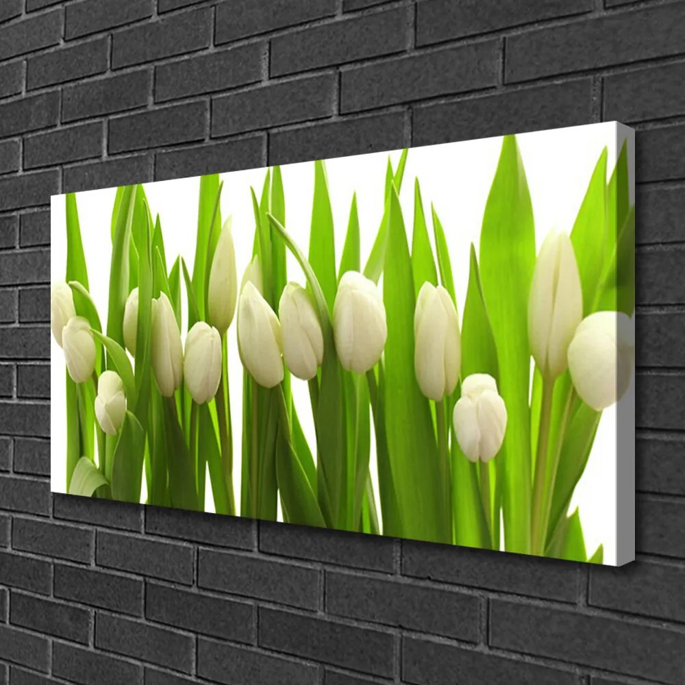 Obraz na plátne Tulipány kvety rastlina 120x60 cm