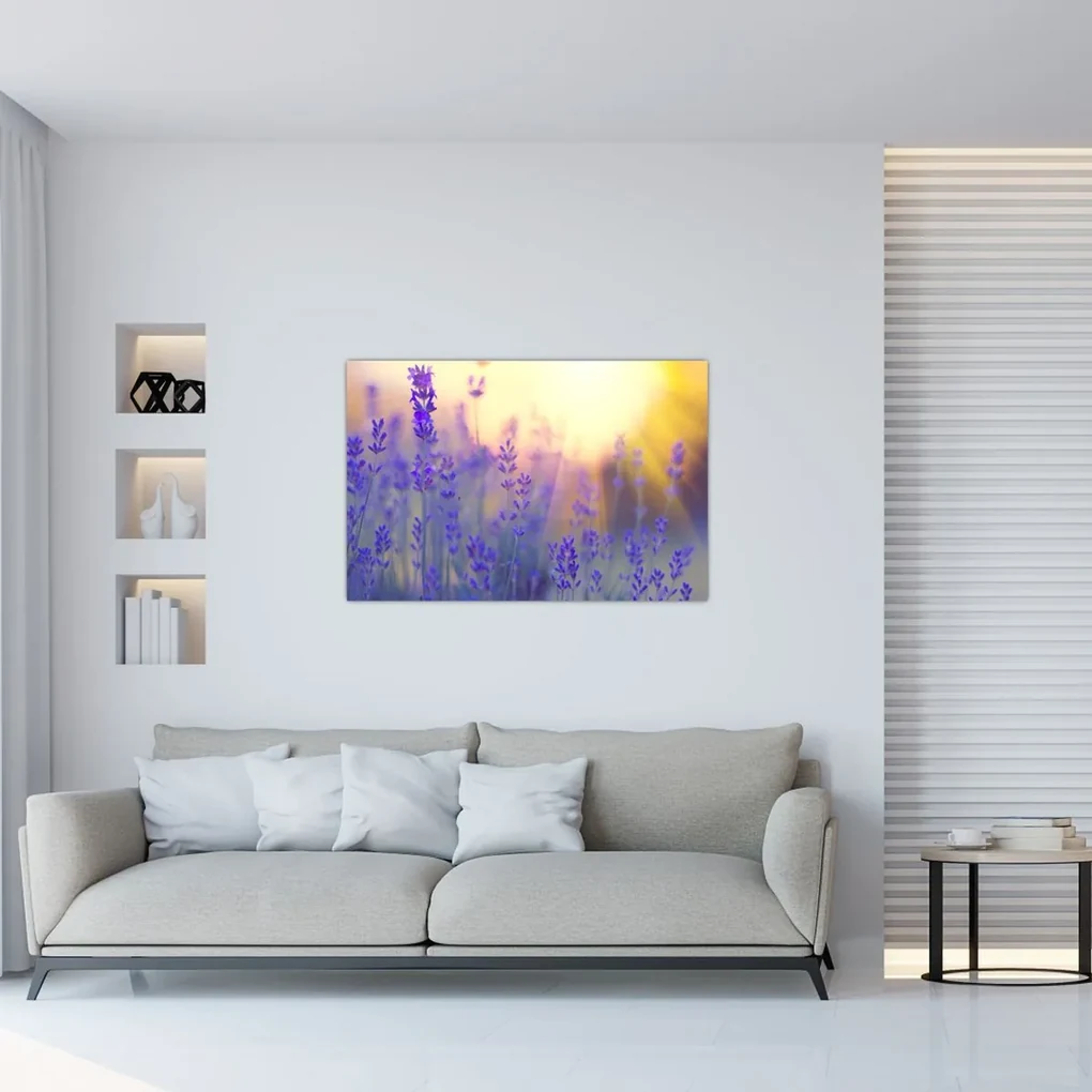 Obraz - Levanduľa (90x60 cm)