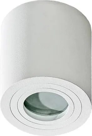 Azzardo AZ2690 - Kúpeľňové stropné svietidlo BRANT 1xGU10/50W/230V IP44