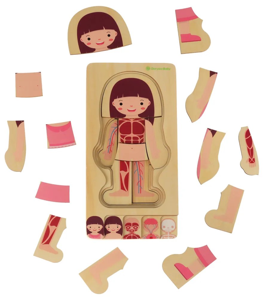KIK Drevené vrstvené vzdelávacie puzzle Ľudské telo – Montessori 28 dielikov pre deti