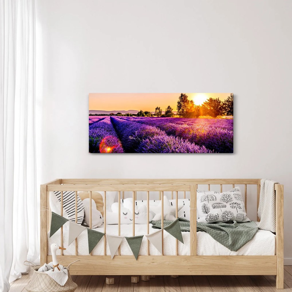 Obraz levanduľového poľa (120x50 cm)