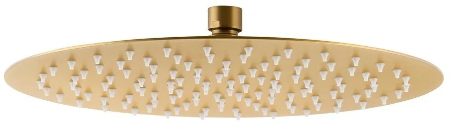 Hlavová sprcha z nehrdzavejúcej ocele v zlatej farbe ø 30 cm Slim – Sapho