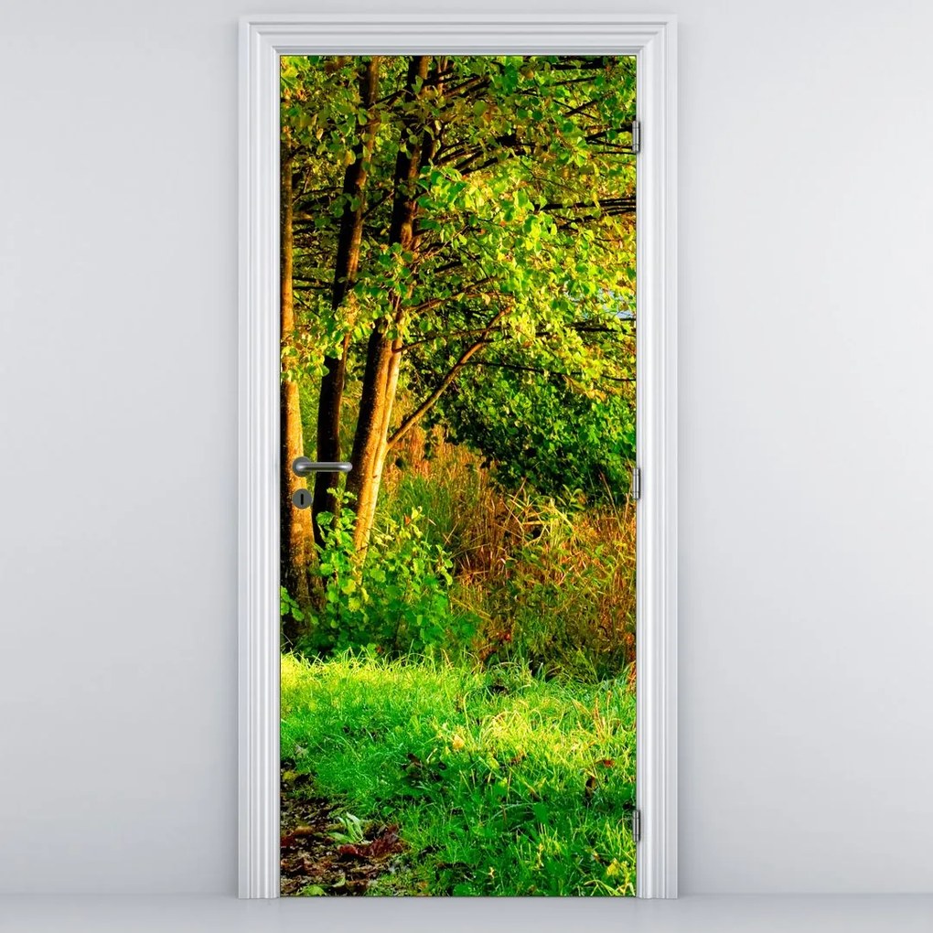 Fototapeta na dvere - Chodník pozdĺž vody (95x205cm)