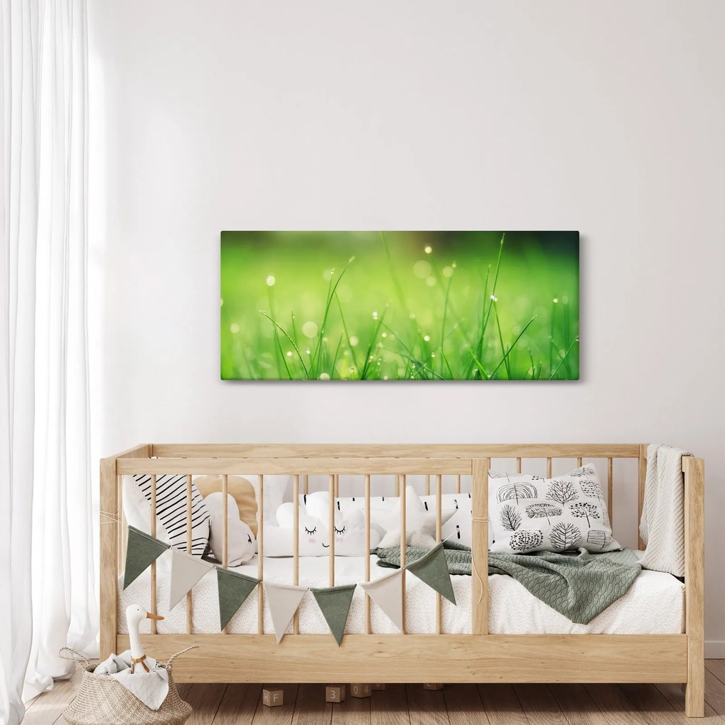Obraz - rosa na tráve (120x50 cm)