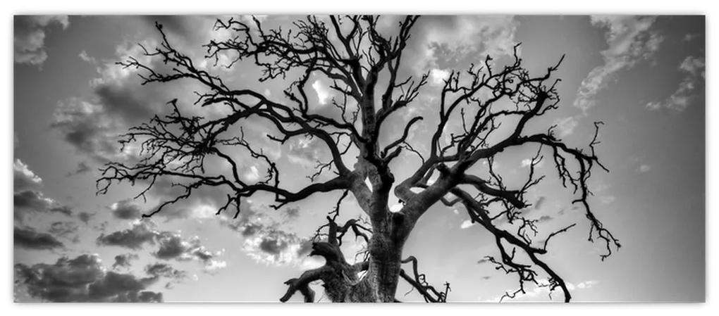 Obraz - Čiernobiely strom (120x50 cm)