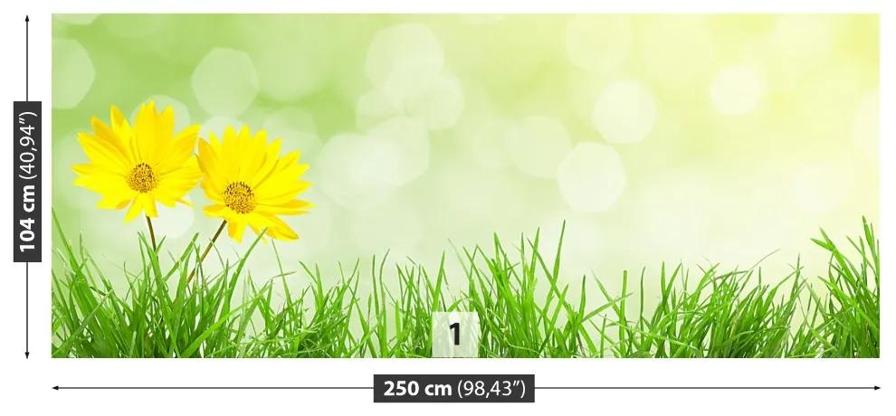Fototapeta Vliesová Kvety tráva 152x104 cm