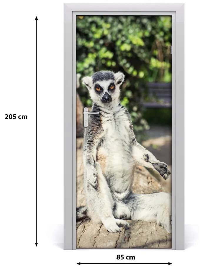 Samolepiace fototapety na dvere lemur 85x205 cm