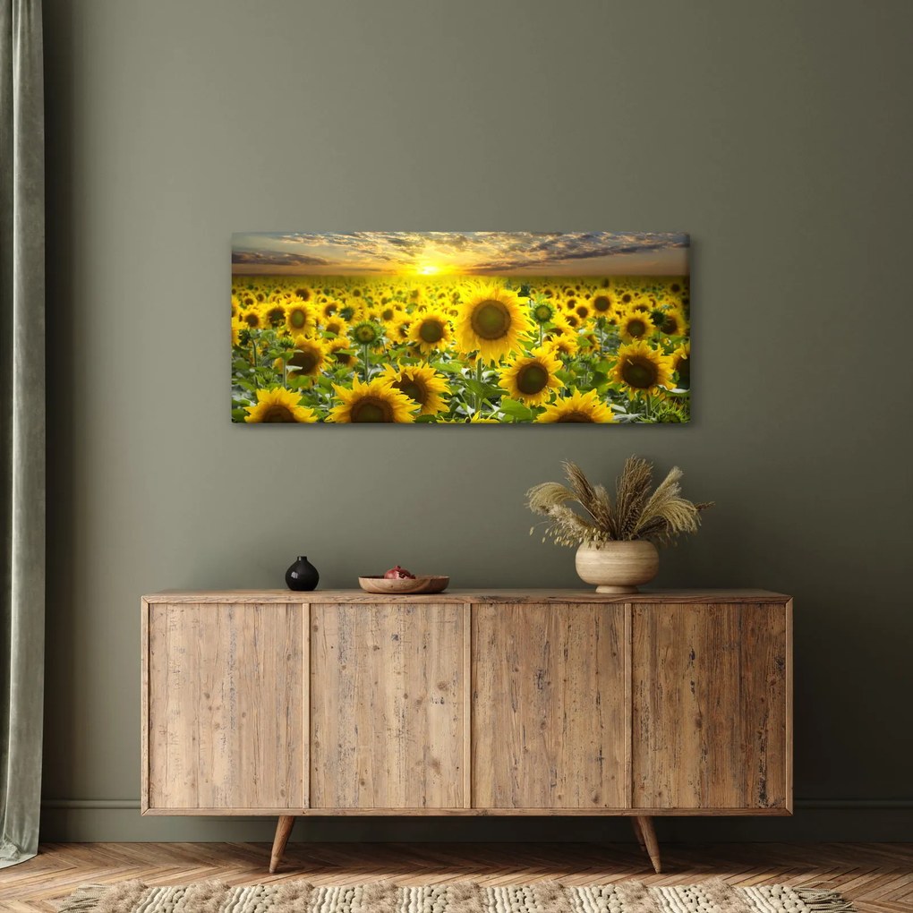 Obraz - Slnečnica pri západe slnka (120x50 cm)