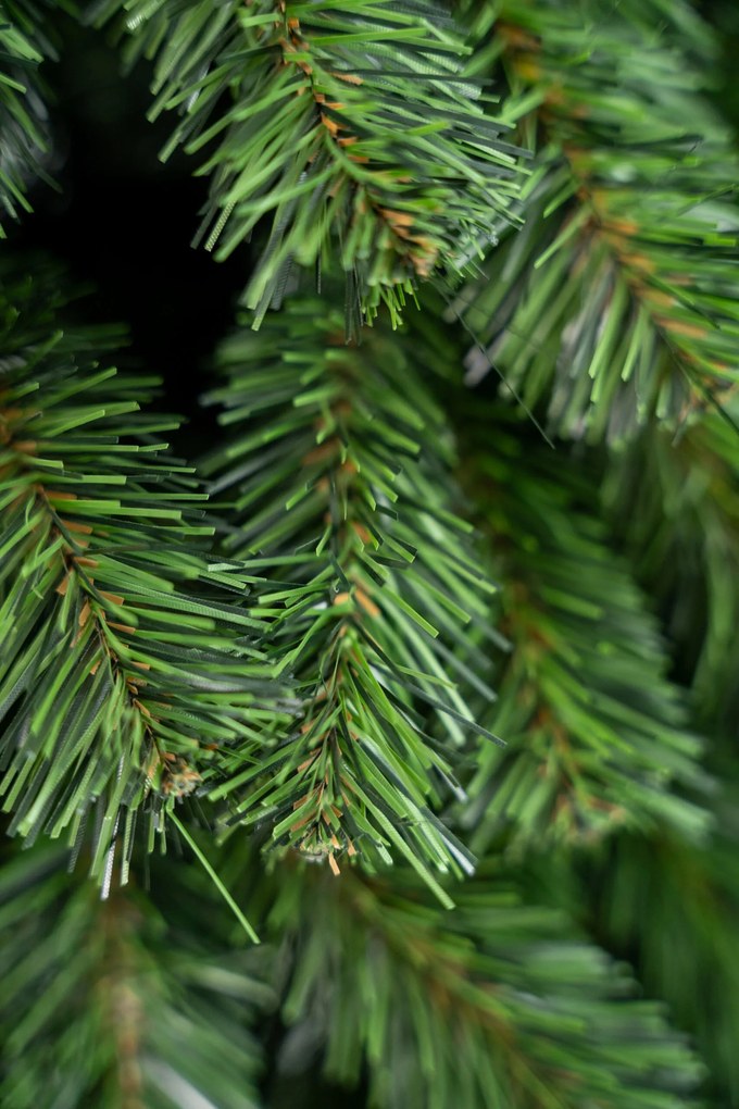 Vianočný stromček- Smrek prírodný na dreve 210 cm