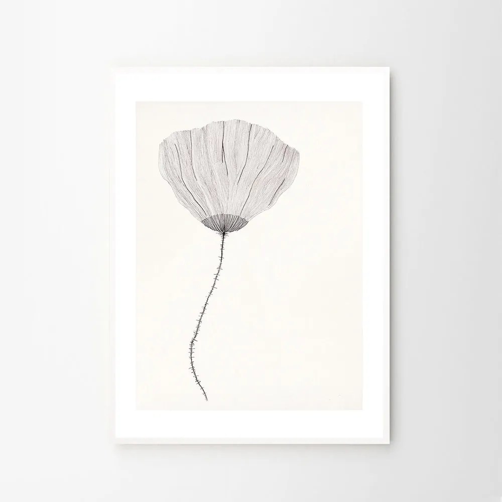 The Poster Club Plagát Poppy by Ana Frois 40x50 cm