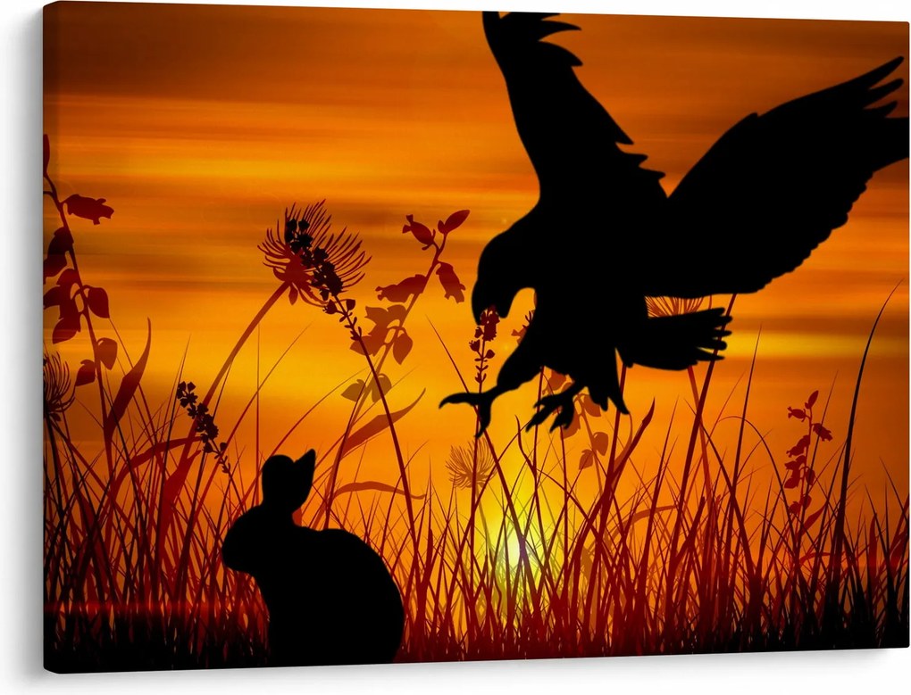 Obraz siluety dravca (70x50 cm)