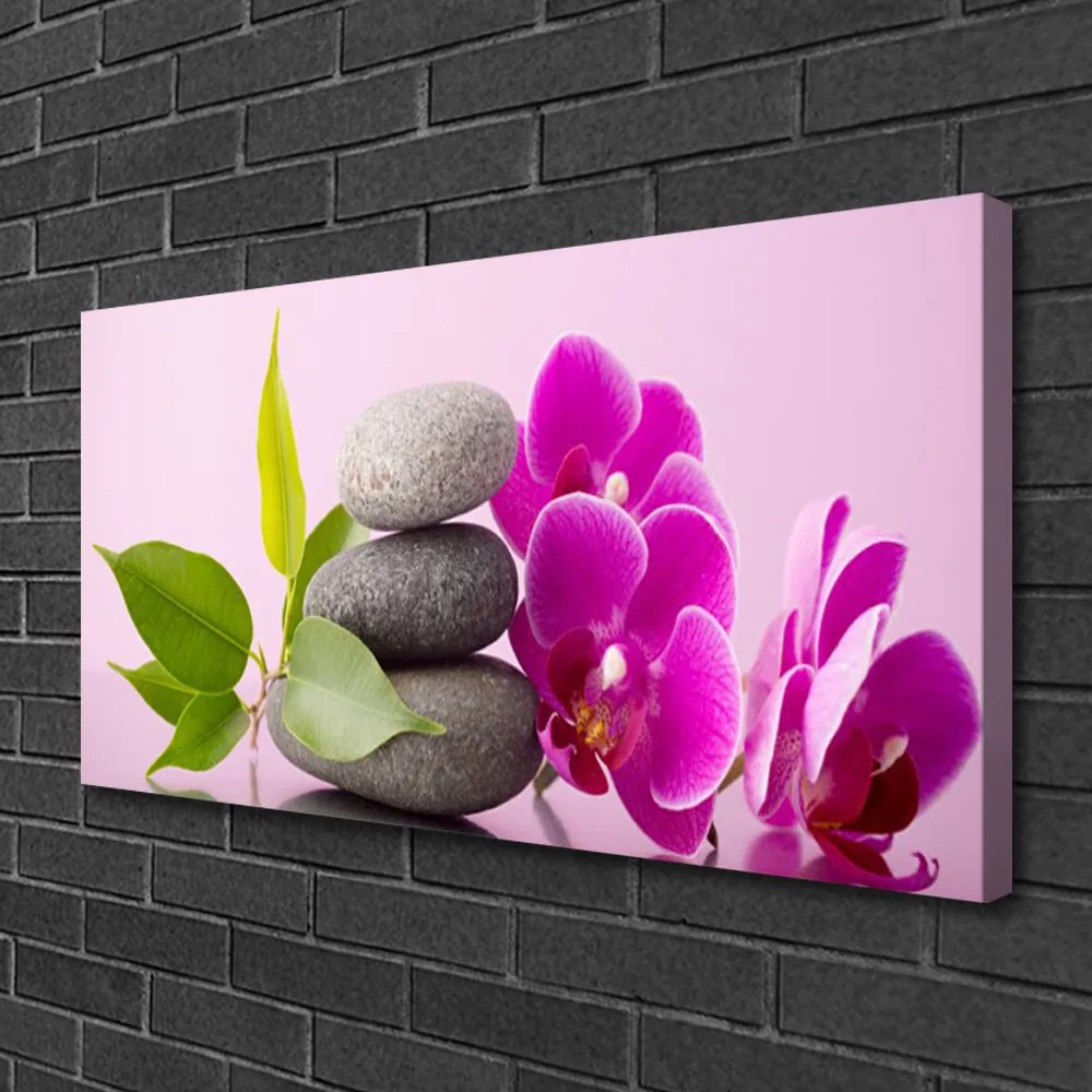 Obraz Canvas Orchidea vstavač kamene 125x50 cm