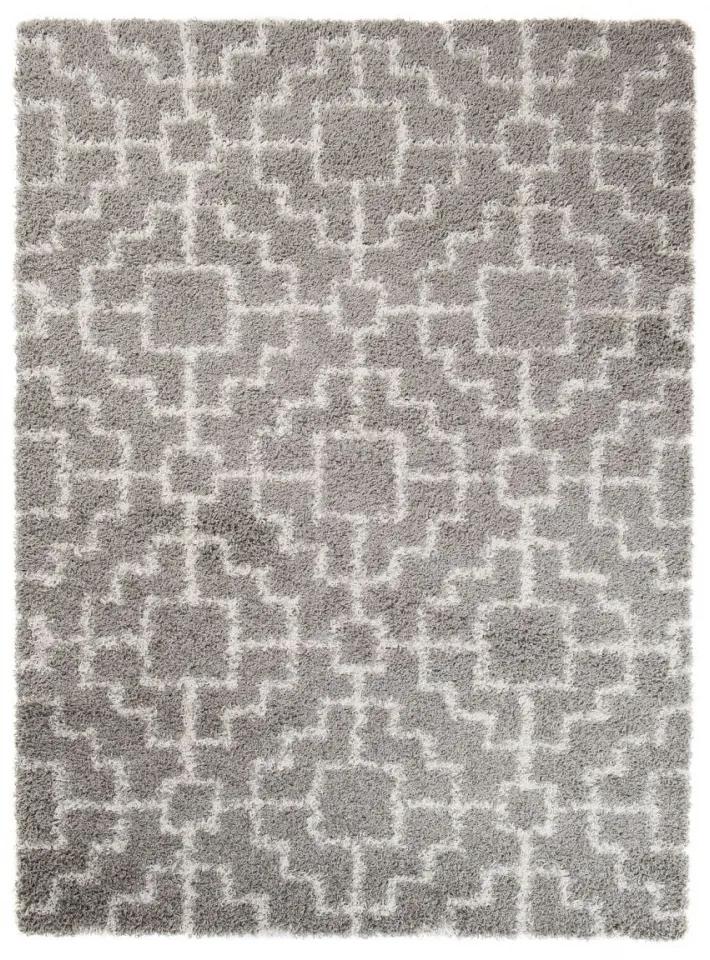 Kusový koberec Shaggy Aniff šedý 2, Velikosti 80x150cm