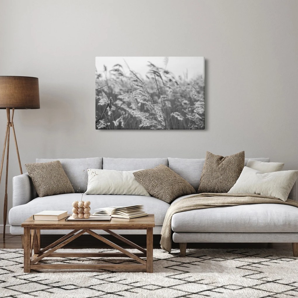Obraz - Tráva vo vetre (90x60 cm)