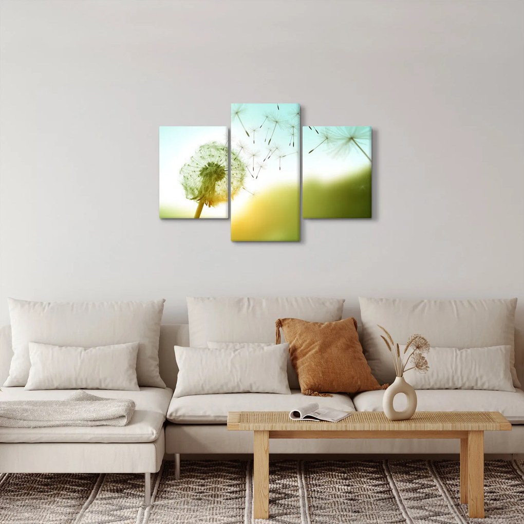 Obraz - Púpava vo vetre (90x60 cm)