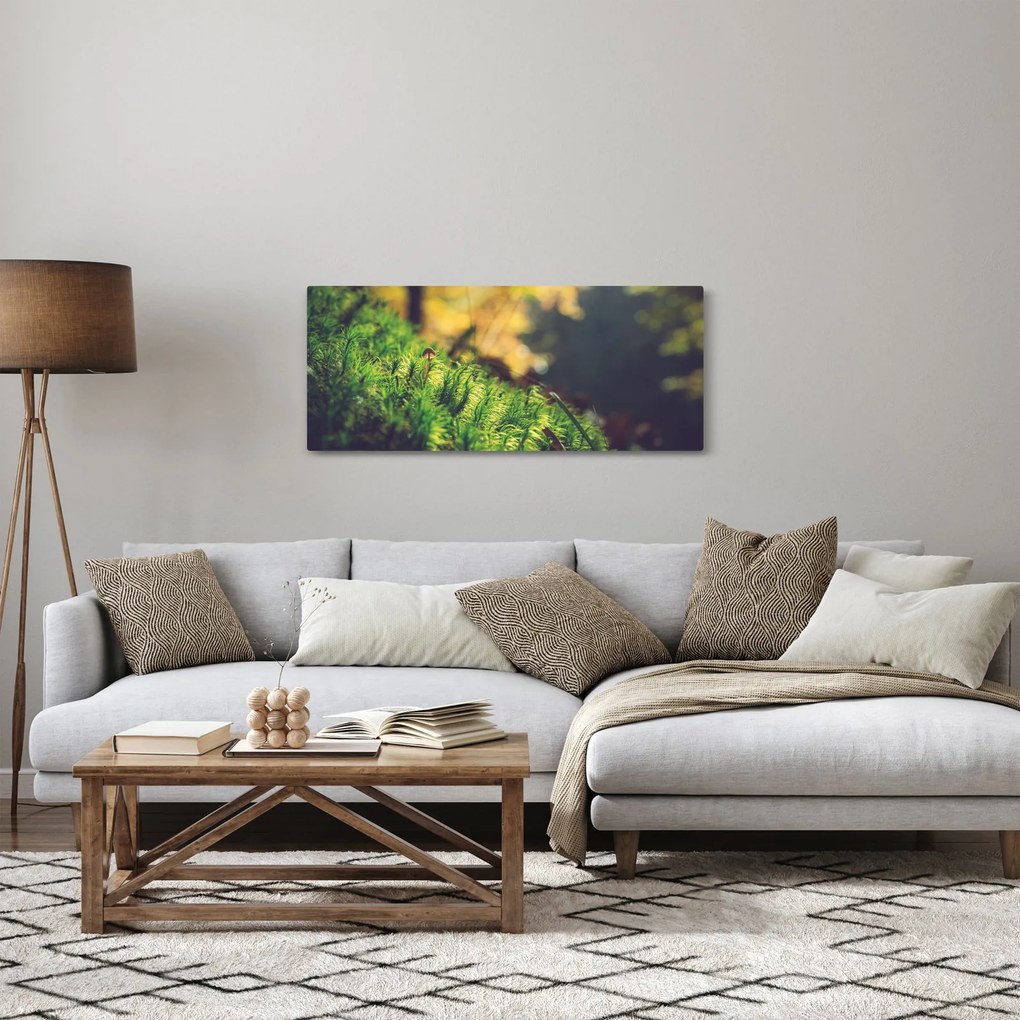 Obraz machu s hubou (120x50 cm)