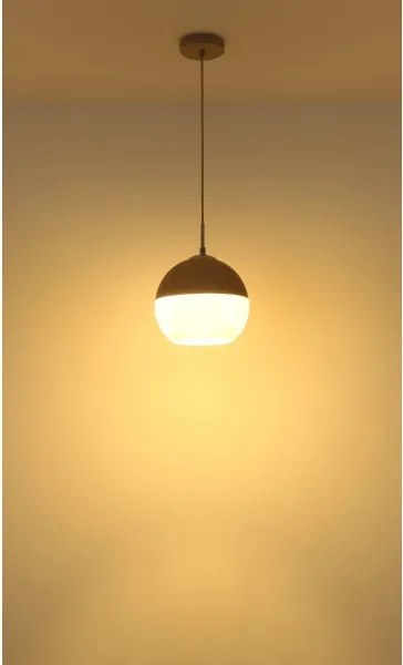 Globo 15999H1 - Závesný luster na lanku RAGUSA 1xE27/60W/230V pr. 25 cm