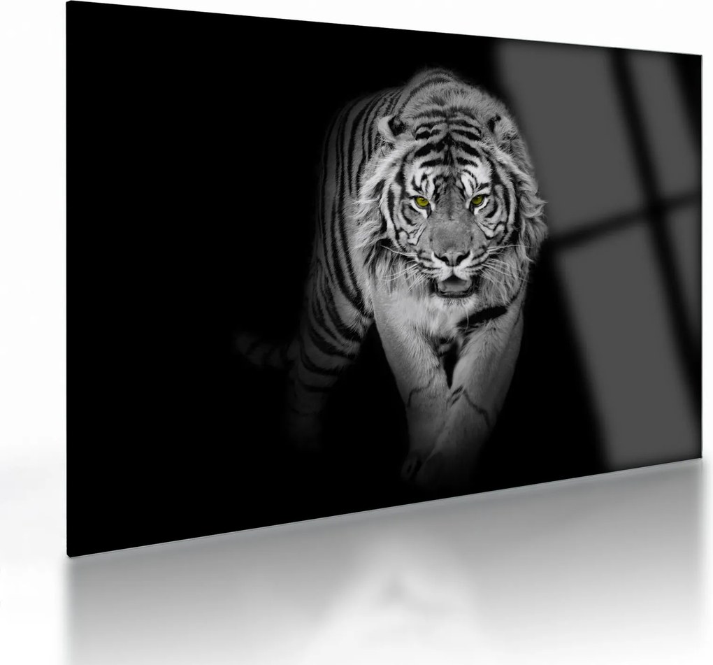 Sklenený obraz - Tiger so žltými očami (70x50 cm)
