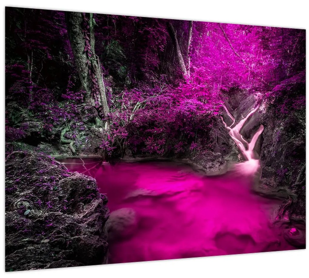 Obraz - Ružový les (70x50 cm)