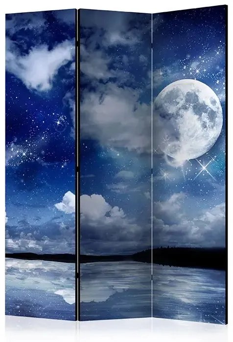 Paraván - Magic Night [Room Dividers] Veľkosť: 135x172, Verzia: Jednostranný