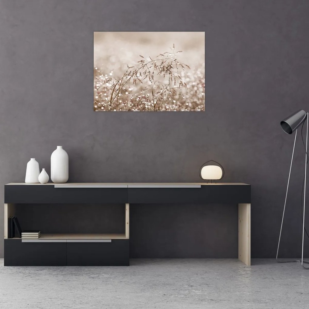 Sklenený obraz - Lúka v hnedých tónoch (70x50 cm)