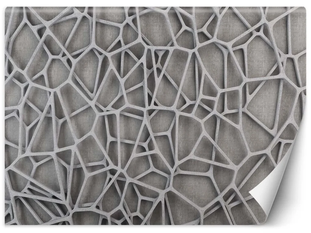 Gario Fototapeta Textúra Materiál: Vliesová, Rozmery: 450 x 315 cm