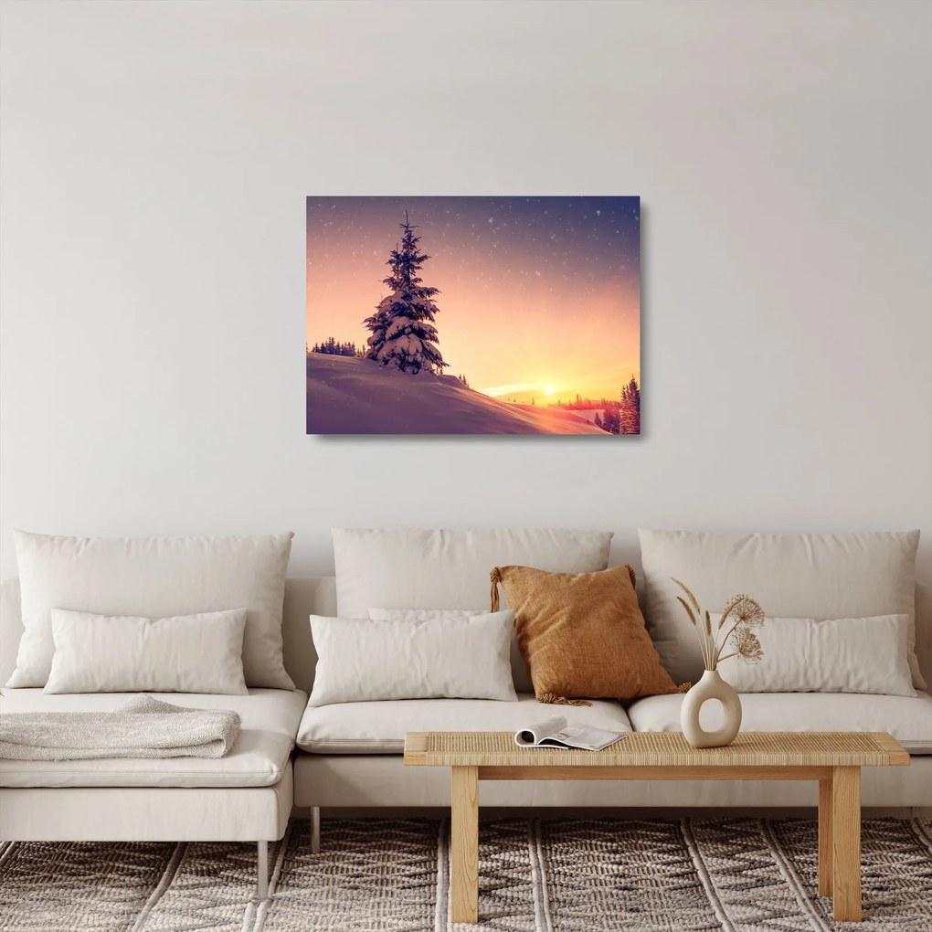 Sklenený obraz zasneženého stromu na lúke (70x50 cm)