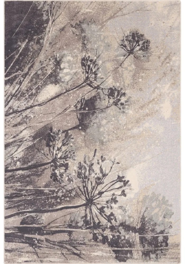 Krémovo-sivý vlnený koberec 200x300 cm Lissey – Agnella