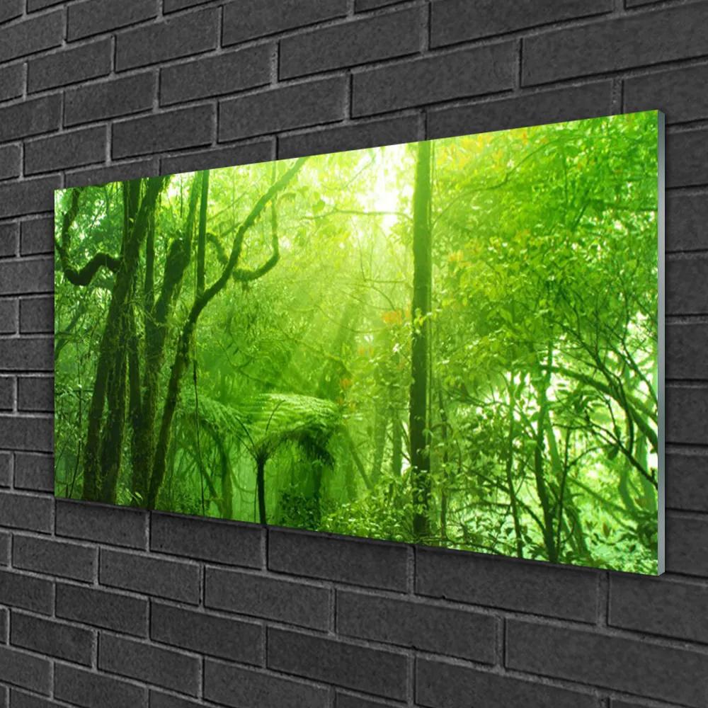 Obraz na skle Stromy príroda 100x50 cm