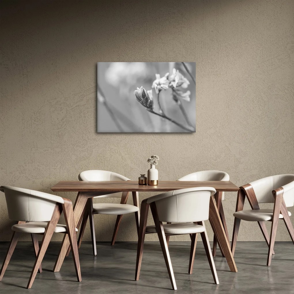 Obraz - Rozkvitnutý kvet (70x50 cm)