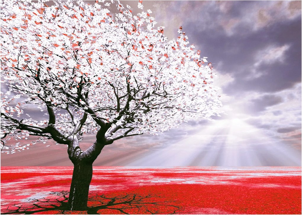 Červený obraz stromu (70x50 cm)