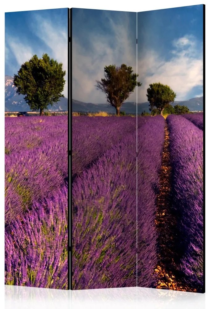Artgeist Paraván - Lavender field in Provence, France [Room Dividers]