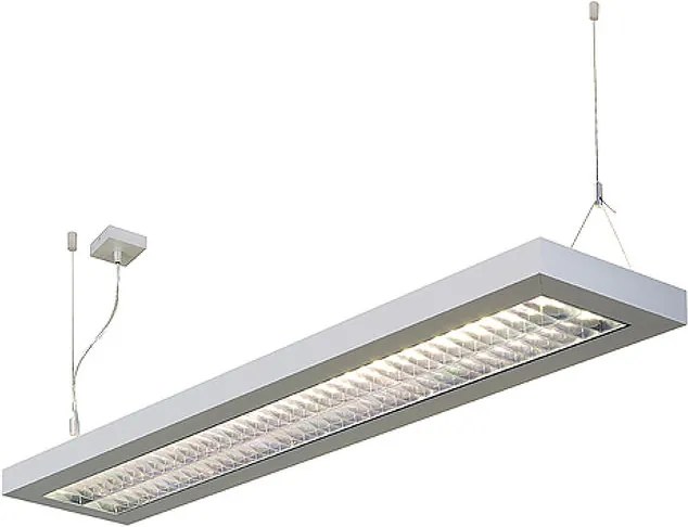 SLV 157524 LONG GRILL závesná striebornosivá 230V G5 2x54W