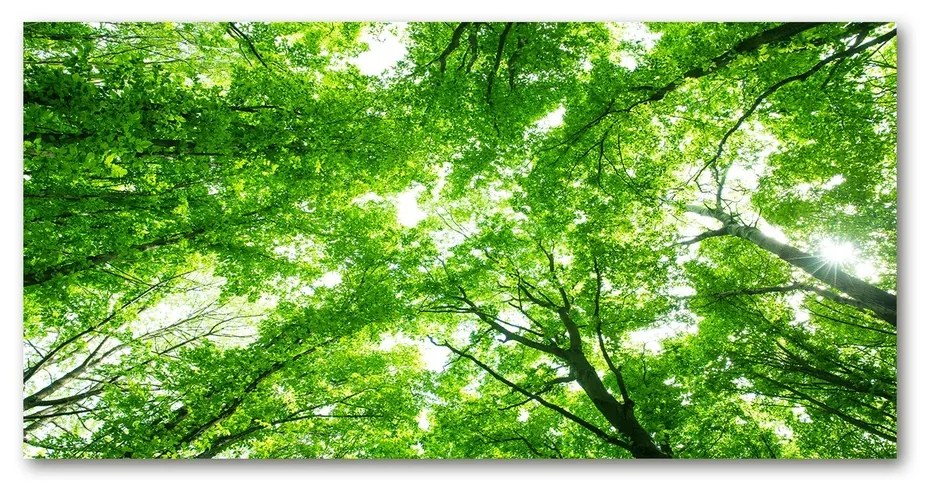 Foto obraz akrylové sklo Zelený les pl-oa-140x70-f-103615746