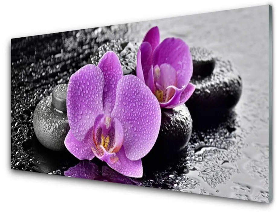 Skleneny obraz Orchidea kvety kamene zen 100x50cm