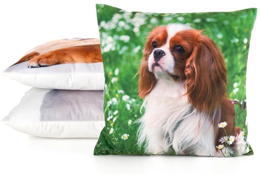 DETSKÁ DEKORAČNÁ OBLIEČKA NA VANKÚŠ ANIMAL74 45X45 CM VZOROVANÁ