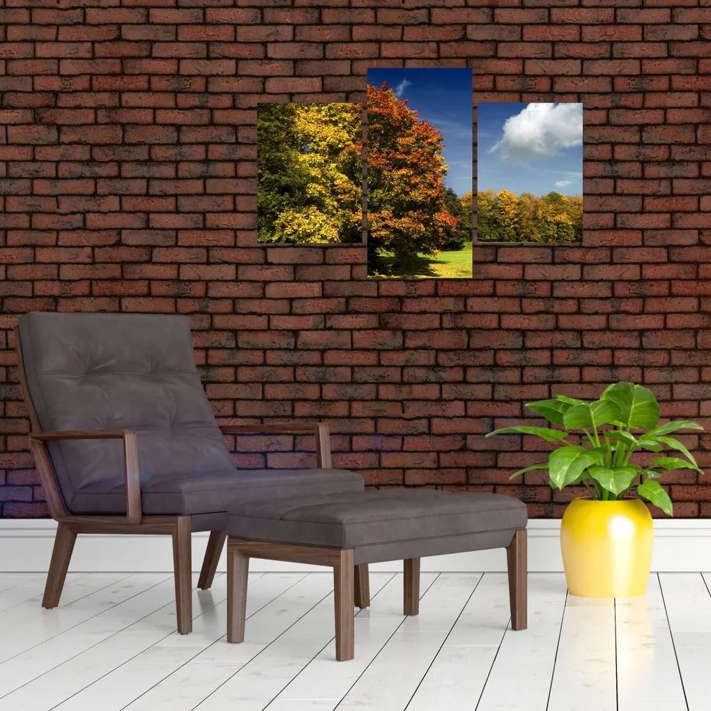 Jesenná krajina, obraz