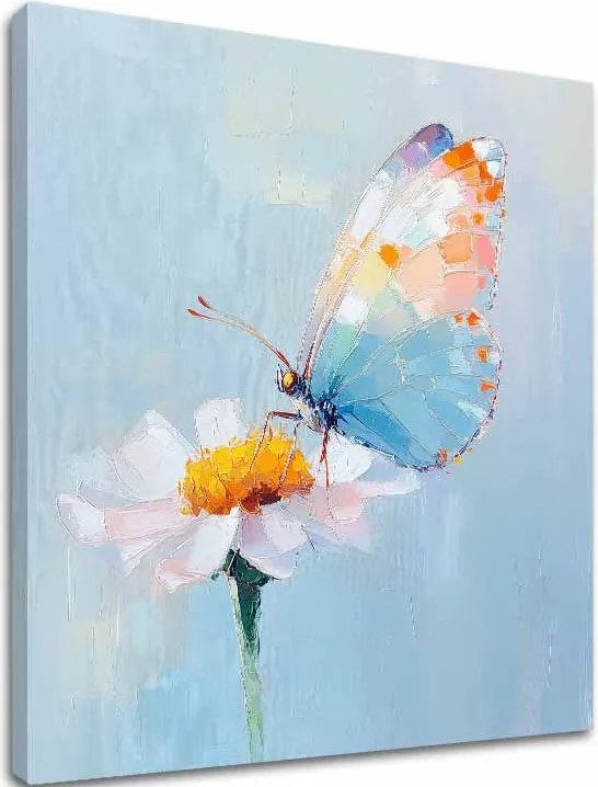 Obraz Motýľa - Pastelový deň