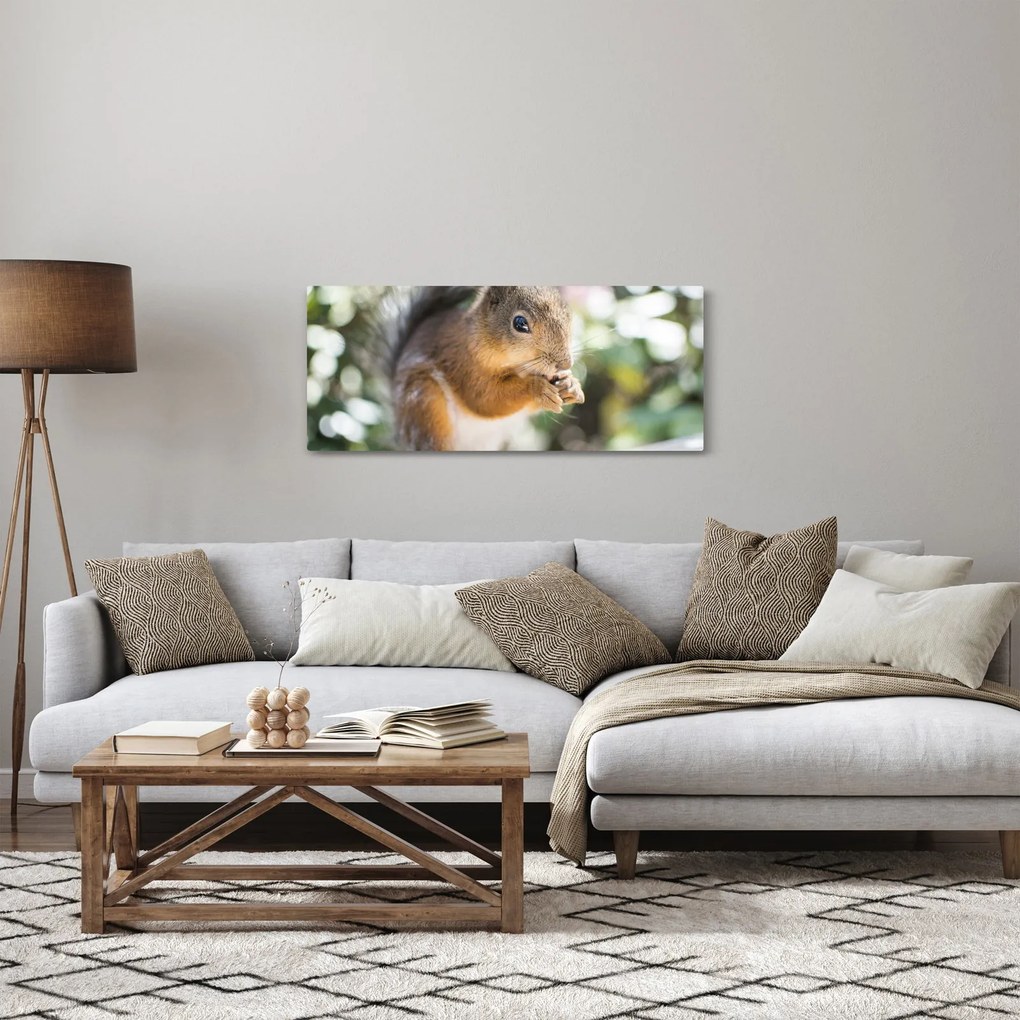 Obraz veveričky (120x50 cm)