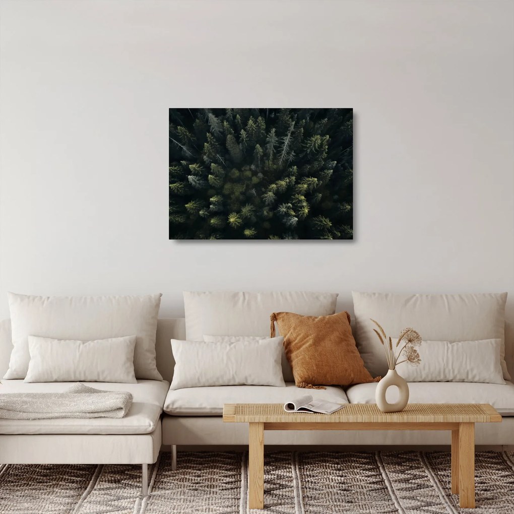 Sklenený obraz - Les (70x50 cm)