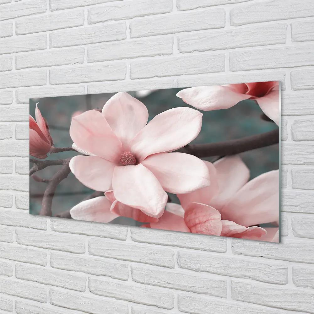 Nástenný panel  ružové kvety 140x70 cm