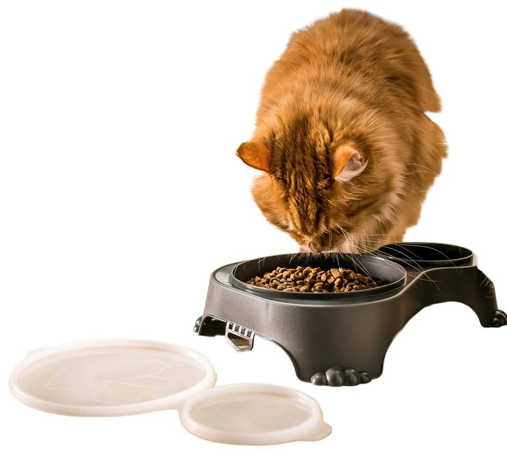 Rotho Miska na krmivo a vodu pre psy a mačky, dvojitá s vekom, SALLY - antracit