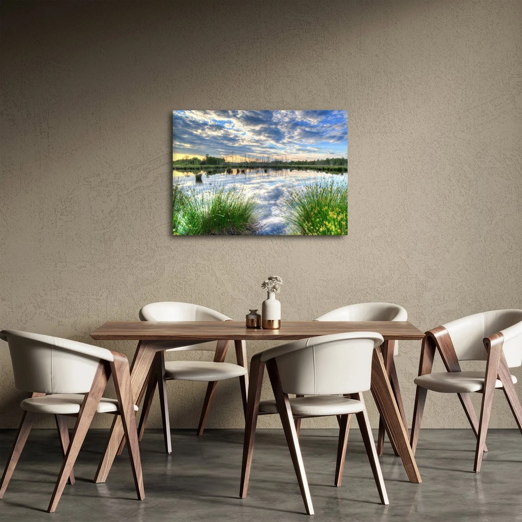 Obraz jazera s tŕstím (70x50 cm)